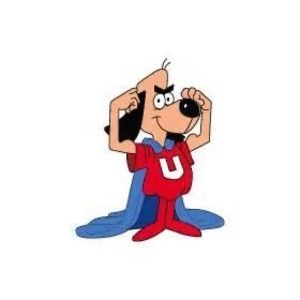 Meet your Posher, Ronnie